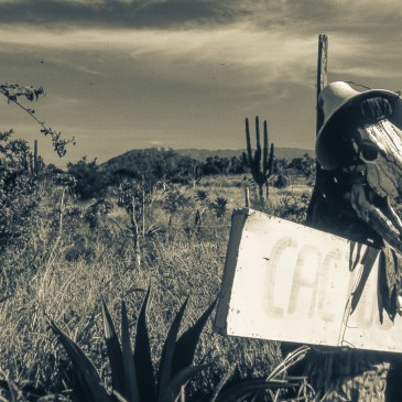 Welcome to Anza Borrego