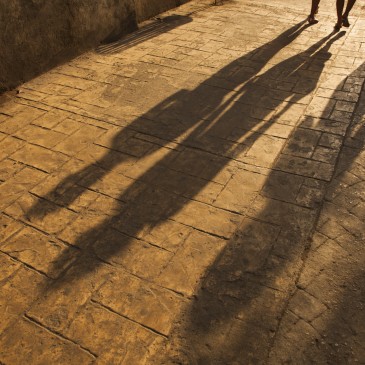 Late afternoon shadows
