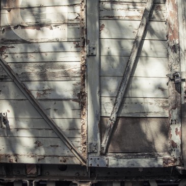 Goods train, Tenterden